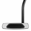 TaylorMade Golf Taylormade Spider Arc Silver Golf Putter 1 TaylorMade Golf Taylormade Spider Arc Silver Golf Putter -Clubs Sales 2023 screen shot 2018 02 07 at 13.28.08 copy