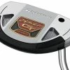 TaylorMade Golf TaylorMade Spider GT Rollback Silver/Black Single Bend Putter